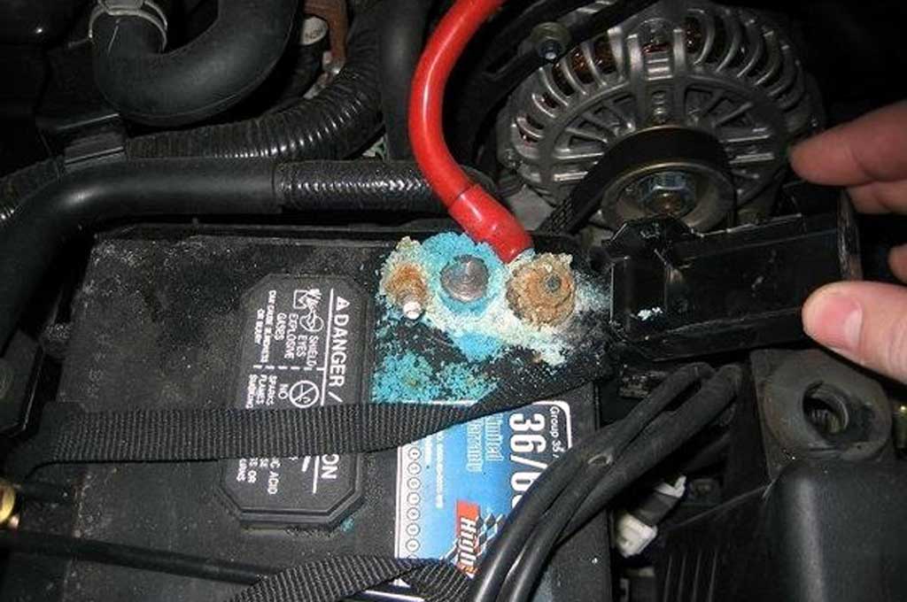 Cara Gampang Usir Jamur yang Hinggap di Kepala Aki
