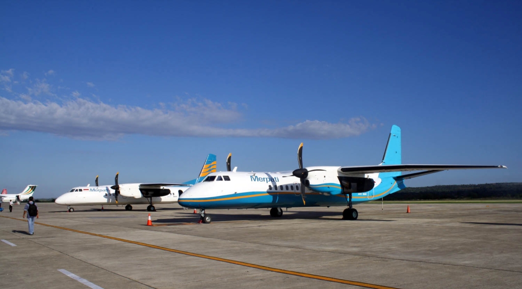 merpati sekarat
