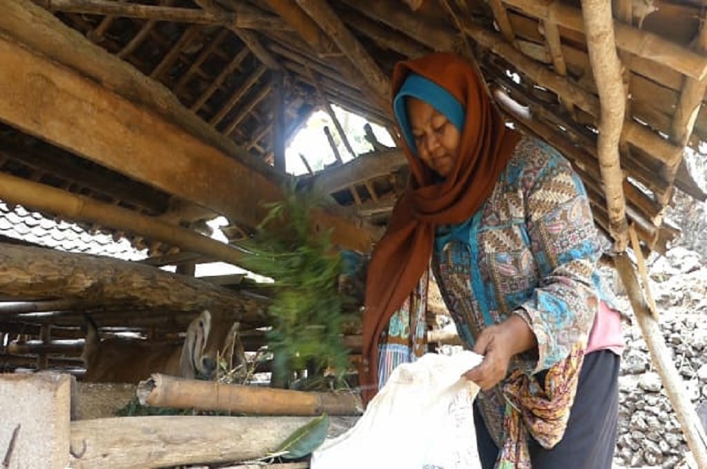Di Gunungkidul, Warga Jual Ternak untuk Beli Air