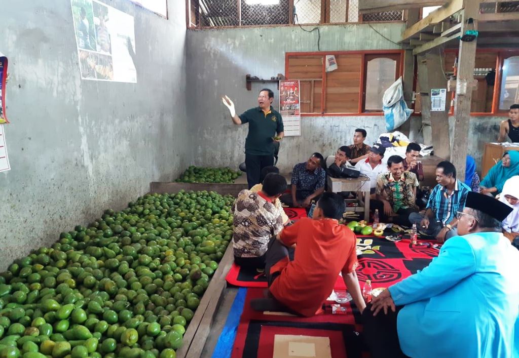 Produk Unggulan Daerah Di Indonesia – Ilmu