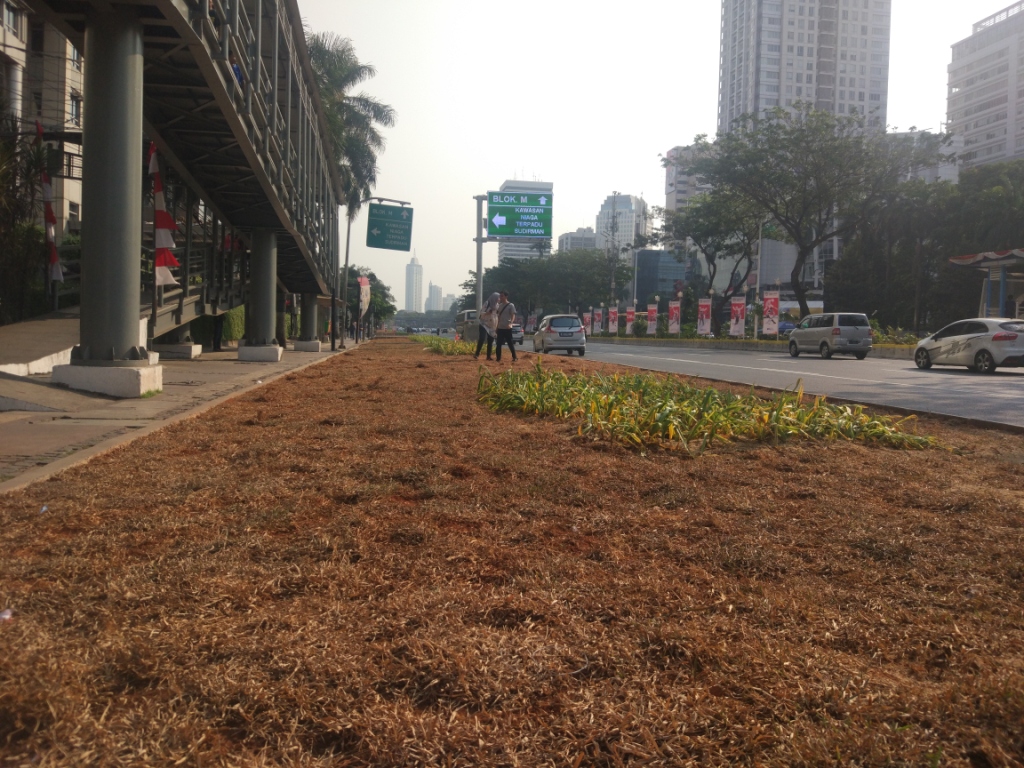 Taman di Trotoar Jalan Sudirman Rusak