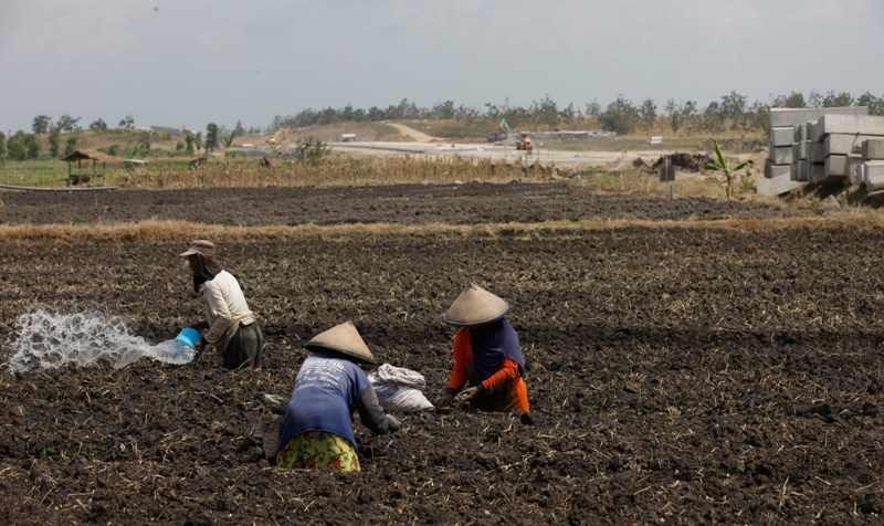 Mengering, Petani Jual Tanah Sawah