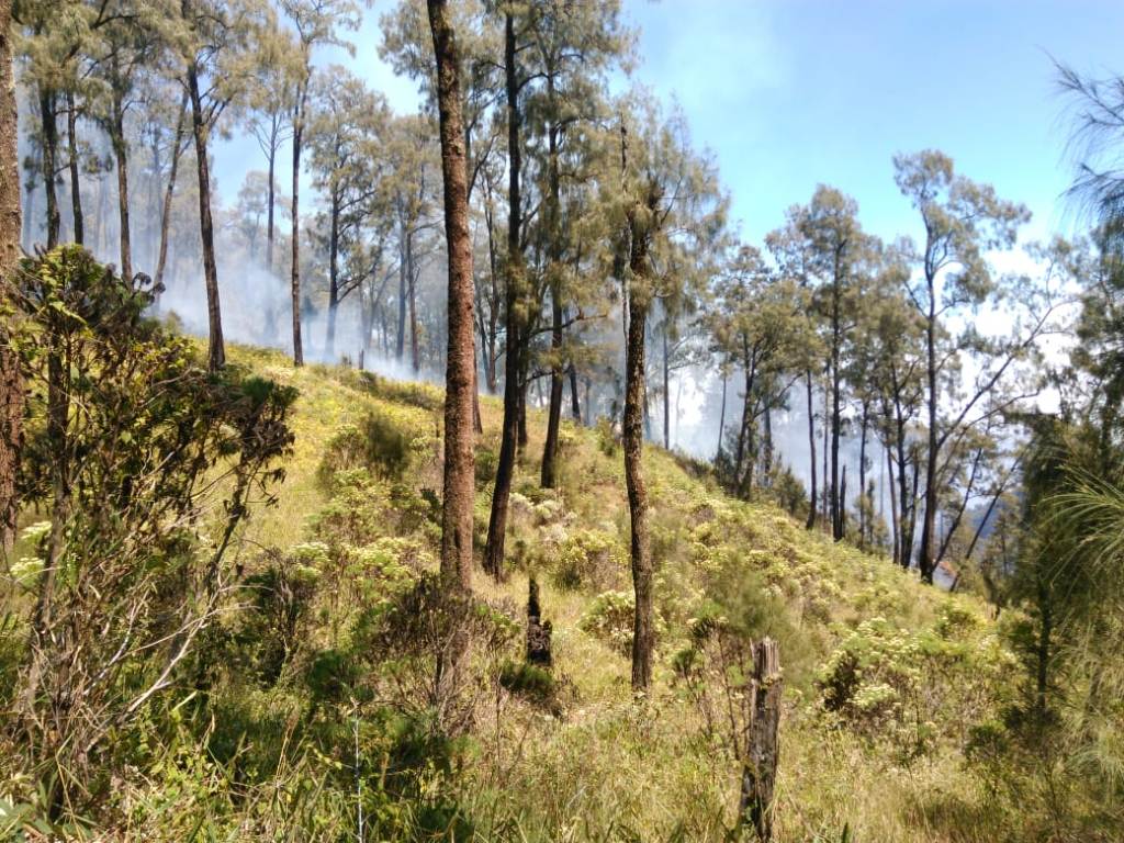 Api di Gunung Butak Padam