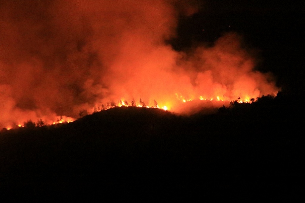 Puluhan Hektare Hutan Gunung Ringgit Pasuruan Terbakar