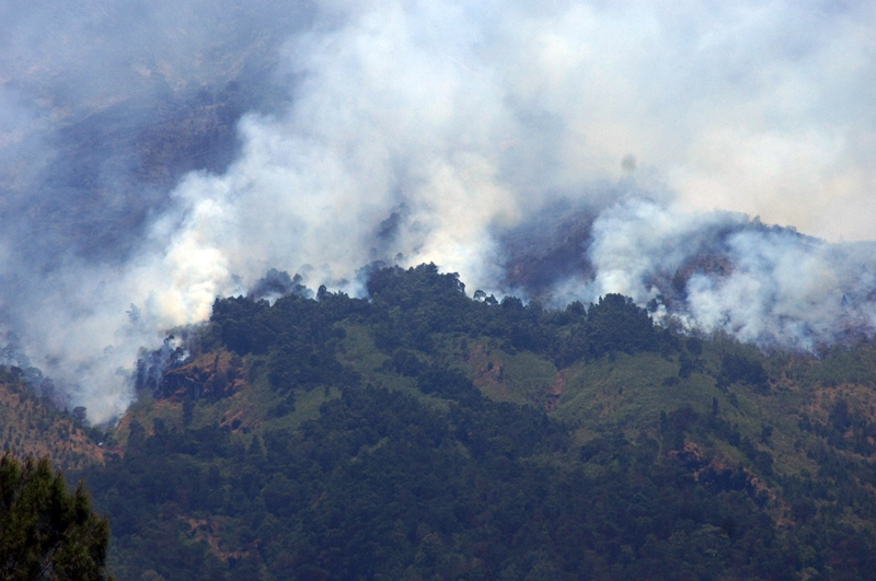 Kebakaran Gunung Sumbing Meluas ke Magelang