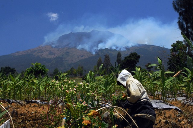 Ganjar Minta Bantuan Pusat Padamkan Api di Gunung Sumbing dan Sindoro
