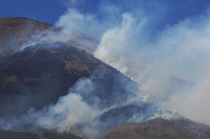 Kebakaran Hutan di Gunung Sindoro Padam