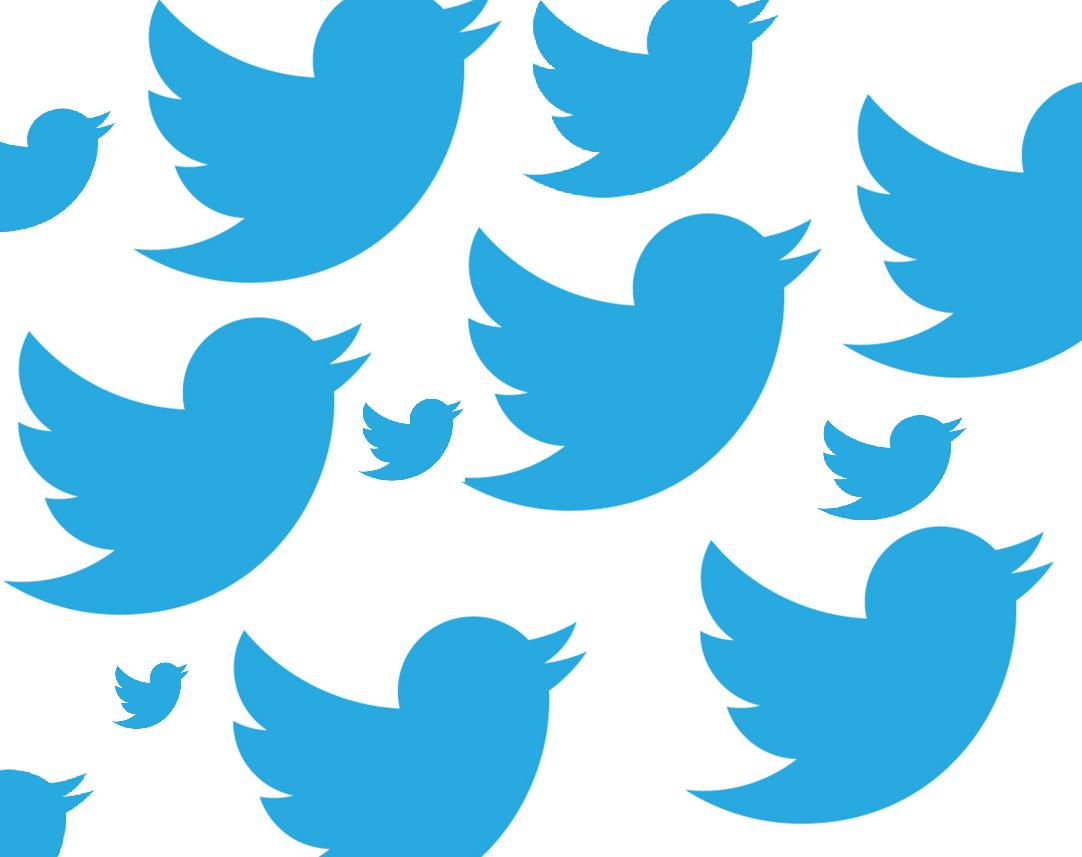Mengoptimalkan Twitter Saat Terjadi Bencana Alam