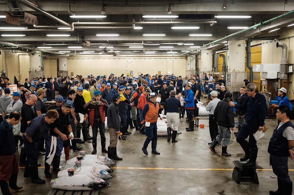 Lelang Tuna Terakhir di Pasar Ikan Tsukiji