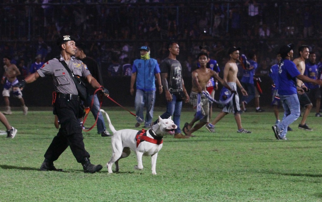 Buntut Ulah Suporter, Arema Bakal Dapat Sanksi dari PSSI