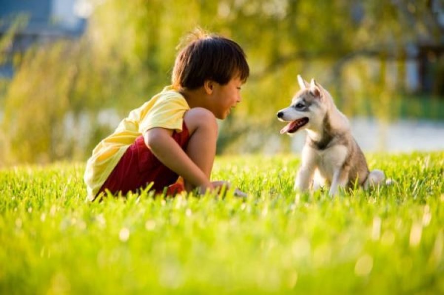 Studi: Partisipasi Anjing Membantu Proses Terapi Bicara Anak