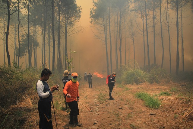 Kebakaran Kawasan Gunung Ciremai Belum Bisa Dipadamkan