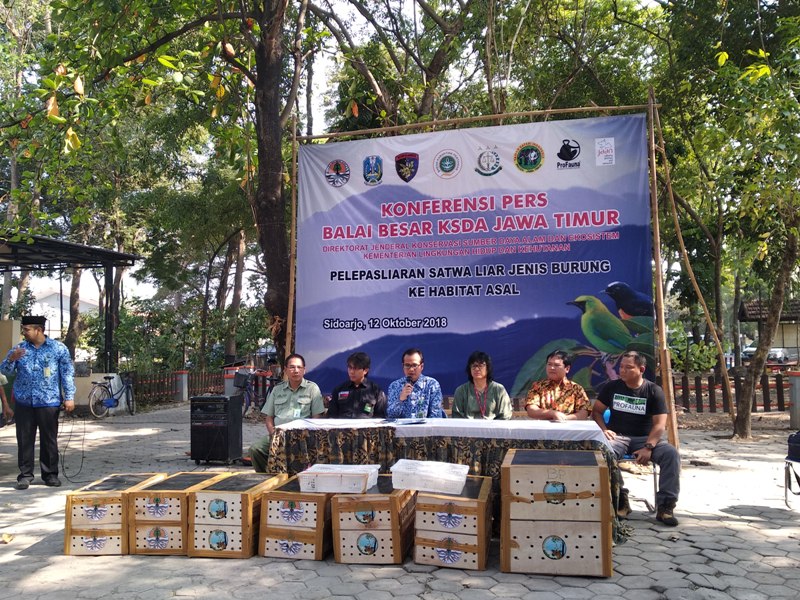 BBKSDA Jawa Timur Lepasliarkan 210 Burung ke Kalimantan