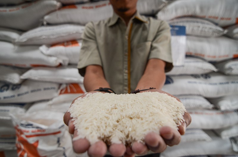 Bulog Pastikan Stok Beras di Sulteng Aman