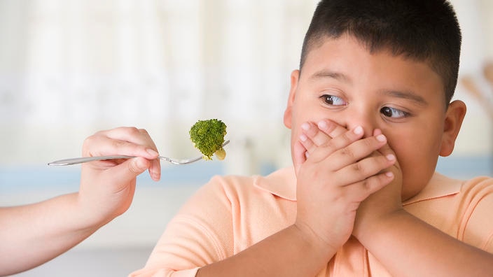 Benarkah Anak yang Pilih-pilih Makanan Tergolong Pintar?