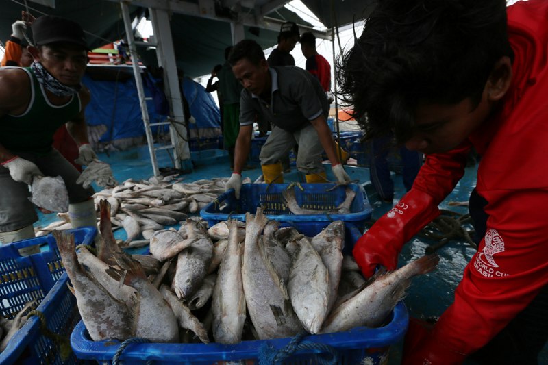 Dampak Pemberantasan <i>Illegal Fishing</i> Selama 4 Tahun Jokowi-JK
