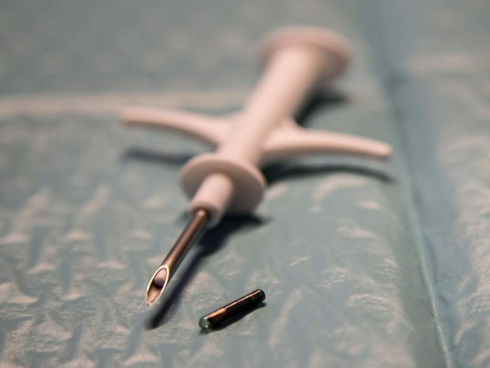 Ribuan Warga Swedia Mulai Tanam Microchip di Tubuh