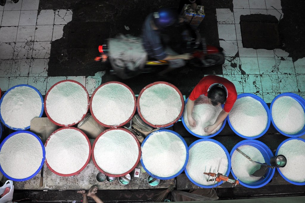 Alasan Pemerintah Tetap Impor Beras Meski Produksi Surplus