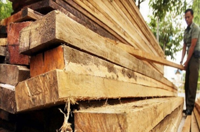 Enam Truk Kayu Jati Ilegal Disita KLHK