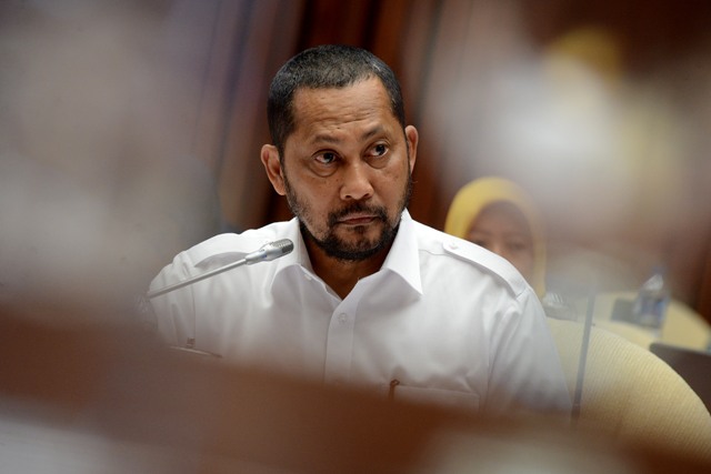 Buwas Pastikan Stok Beras Aman Hingga Juni 2019