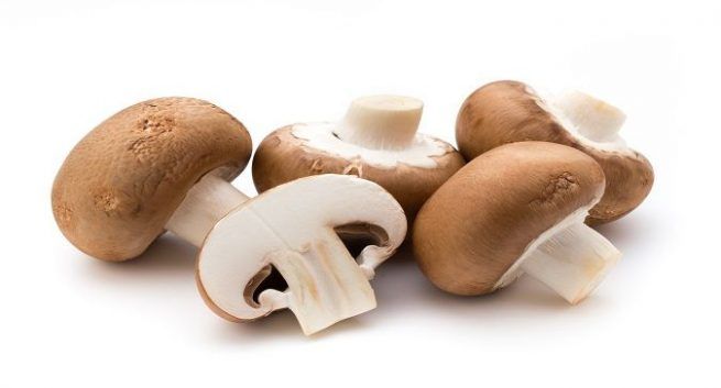 Manfaat Jamur untuk Kecantikan