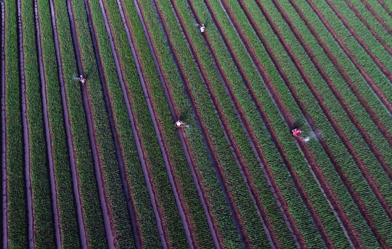 Reforma Agraria Perkecil Ketergantungan si Miskin dengan Rentenir