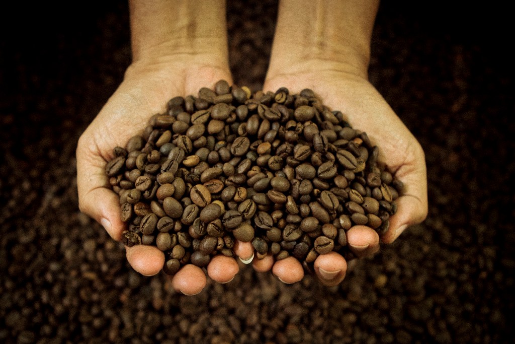 Kopi Indonesia Diburu di Tiongkok
