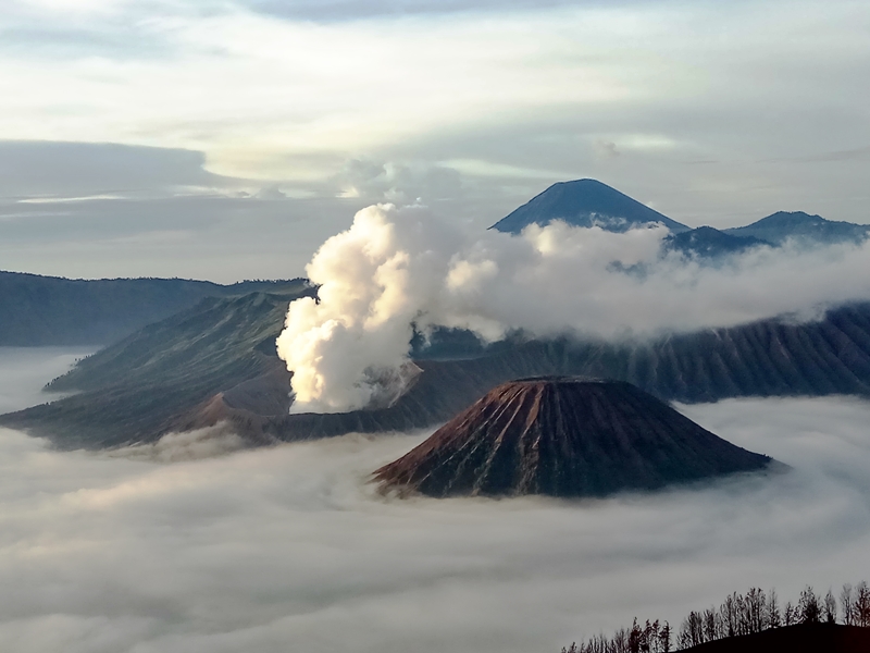 Sehari Menikmati Keagungan Gunung Bromo