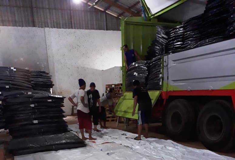 pemilu serentak 2019