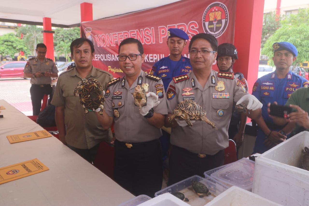 Polisi Gagalkan Penyelundupan Satwa Burung dan Kura-kura