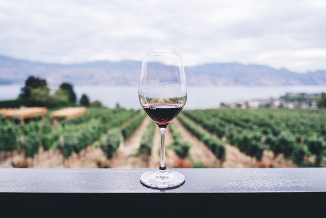 Khasiat Red Wine