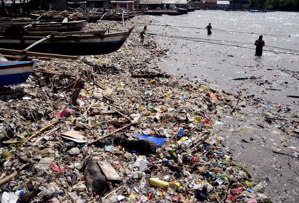 Nekropsi Ungkap Sampah Plastik Ancaman Utama Biota Laut