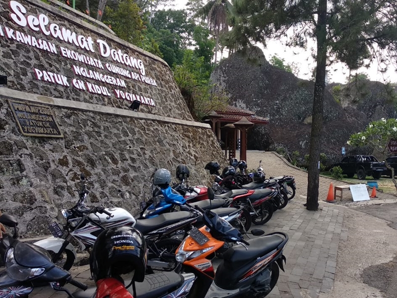Lebah Beracun Ganggu Warga di Gunung Nglanggeran