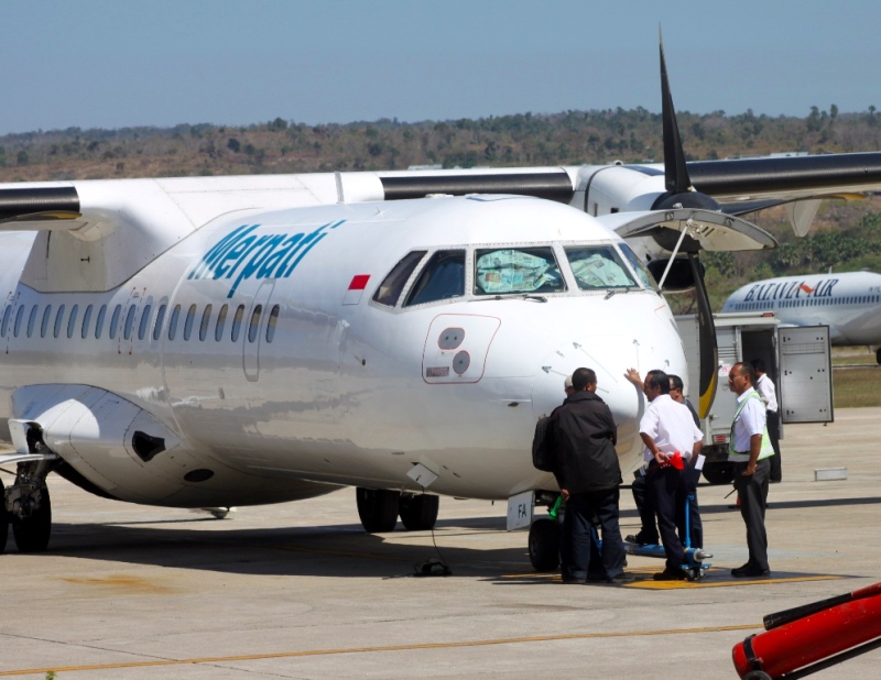 merpati sekarat