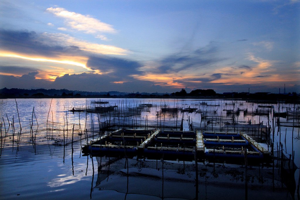 KJA Berpotensi Genjot Produksi Ikan Nasional