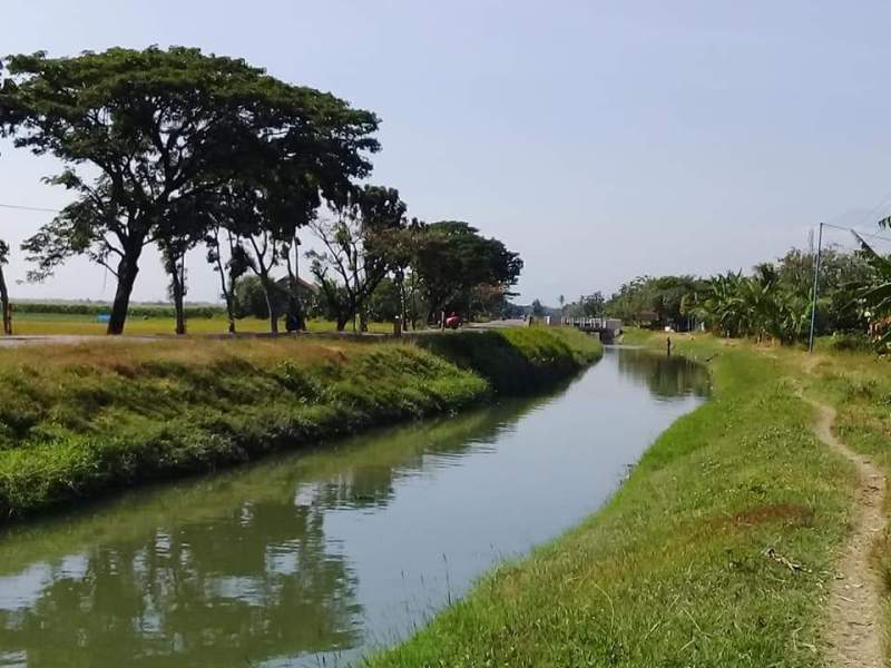 Saluran Irigasi Bendung Notog Dibuka