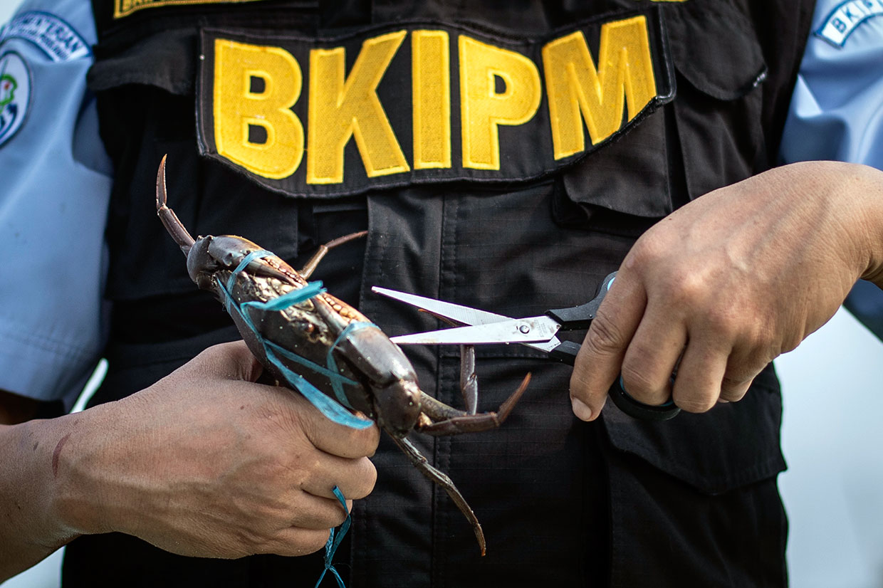 kelautan dan perikanan