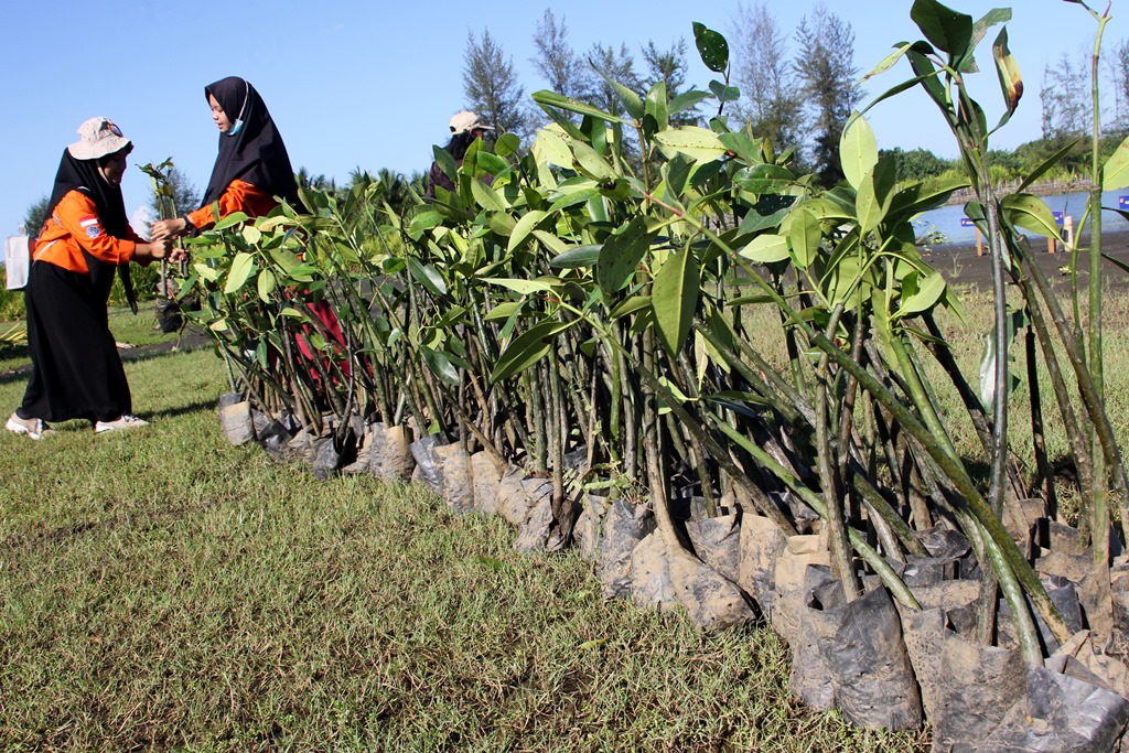 Klhk Hari Lingkungan Hidup Inspirasi Di Tengah Pandemi