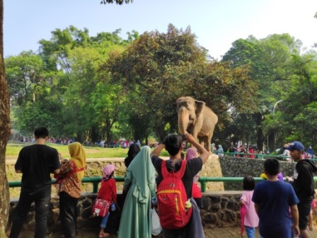 Pengunjung Kebun Binatang Gembira Loka Dibatasi 2 500 Orang Per Hari