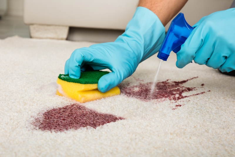 5 Bahan Alami Bersihkan Noda di Karpet