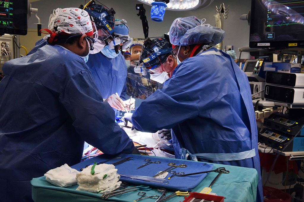 Sejarah! Ahli Bedah AS Berhasil Transplantasi Jantung Babi pada Manusia