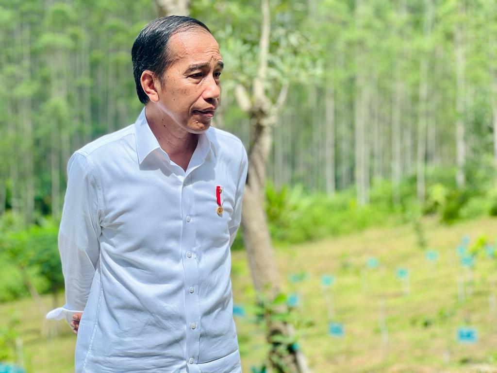 Jokowi Instruksikan Buka Kembali Penawaran Pembangunan IKN