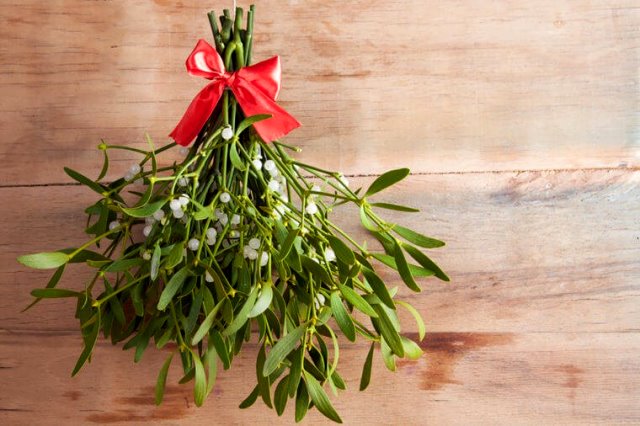 Beberapa Tradisi Natal dari Berbagai Belahan Dunia