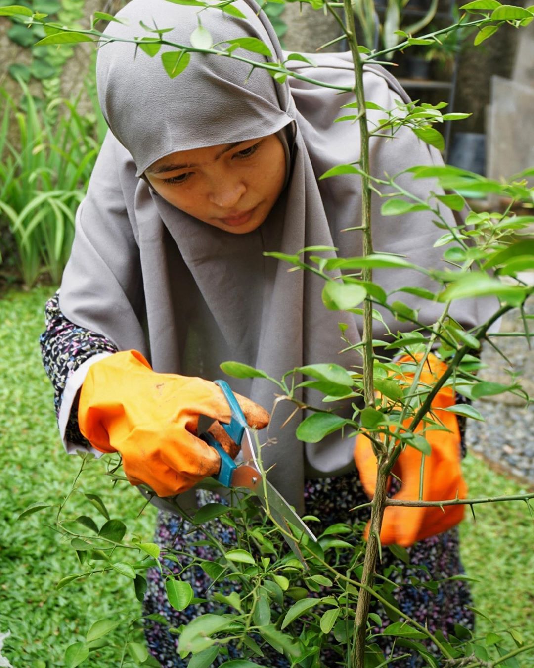 10 Artis Indonesia yang Hobi Berkebun