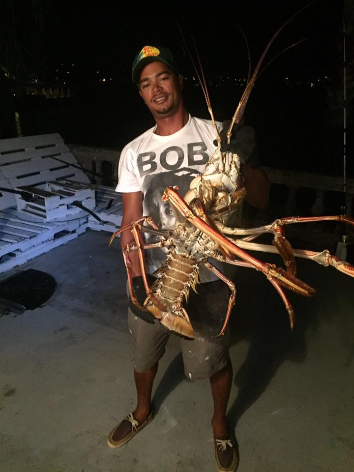 Lobster