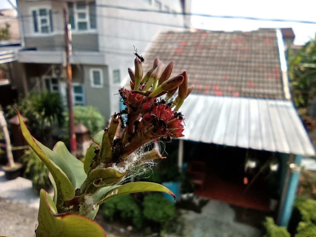 Review Poco M3 Pro 5G, 5G Termurah Tampilan Gak Murahan