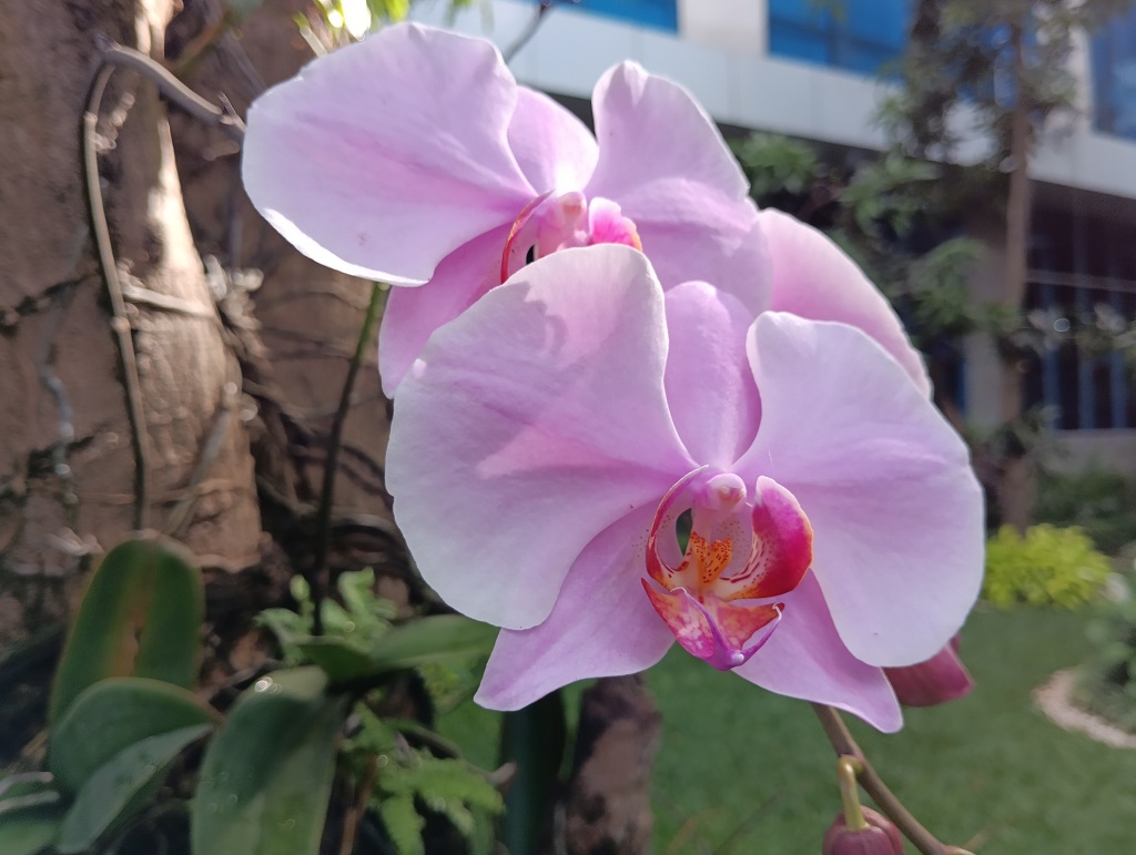 Review Poco M5, Rasanya Entry-Level