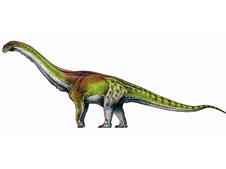Arkeolog Temukan Fosil Dinosaurus Sepanjang Tiga Bus London