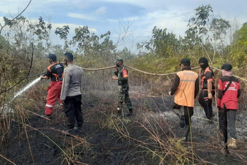 Warga Sultra Diingatkan Waspadai Karhutla 2023
