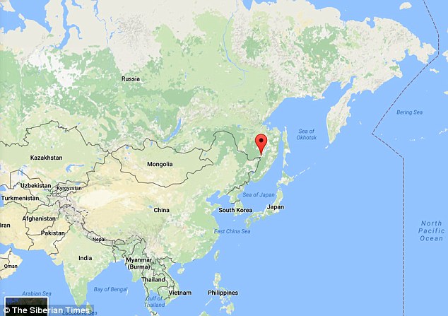 Pesawat Mata-Mata AS Mendarat Darurat di Rusia